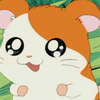 みそちゃんねる🐣‪🪽‪