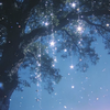 アルタイル