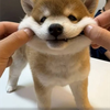 3838
