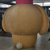 わん