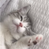 ゆず