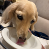 くるるる
