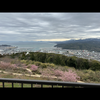 和泉