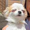 ちーやん