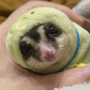 たまさわ