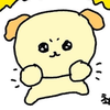 あんなちゃん🍀🧡