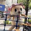 ちぇーかわ