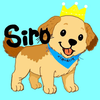 🤍🐶siro🦕🌱＃せり枠の住人