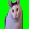 やーさん、おのん応援