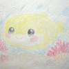 ハコフグ🐡