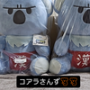 きんぐ