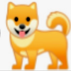 フジくん(柴犬)