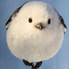 upa