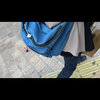 あじさい