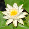 あおいろ