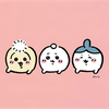 ういまま🐔🌸