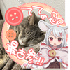 臆病な猫🧀🪡