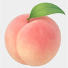 桜梅桃李