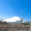 バンビ