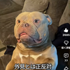 尚弥
