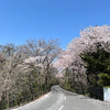 shun231229