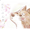 刹那🦐💛【カノカ🍀✏️公認MG】