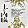 エヴァーグリーン