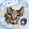 coco🐈‍⬛🌳【さきつん🥣🌼🤍MG】