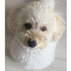 やっす〜🐶