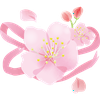 さくら