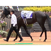 光貴🎾🏇🐴