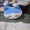 Ｒｅｏ😽︎💞🐱💖️🐰🎶🎀🍰🍩🎀🧸💖️
