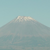のり
