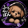 ふうらいぽん😈🐾🐶