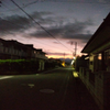 ちえこ🌏️🧬