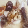 なの君