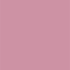 ぴ〜🤟🐼あしゅ組 🙌【あしゅ担当🌺】