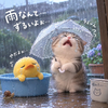ねこちゃん♥♠　