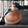 励みますハゲ見ます？