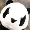 ウマホネ