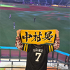 けんてぃ😻⚾️