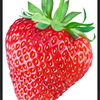 イチゴ🍓