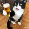 🍺🍺🍺あっつ