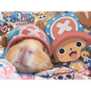 ここな‪🐹🪽‪
