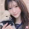 本日パトン❤️‍🔥𝒎𝒊𝒔𝒂🐶 🤍#InRed