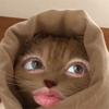 koma