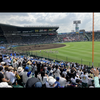 タケッチ⚾️🐼🍔