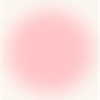 さくら