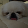 うに