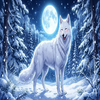 🐺白狼🌕